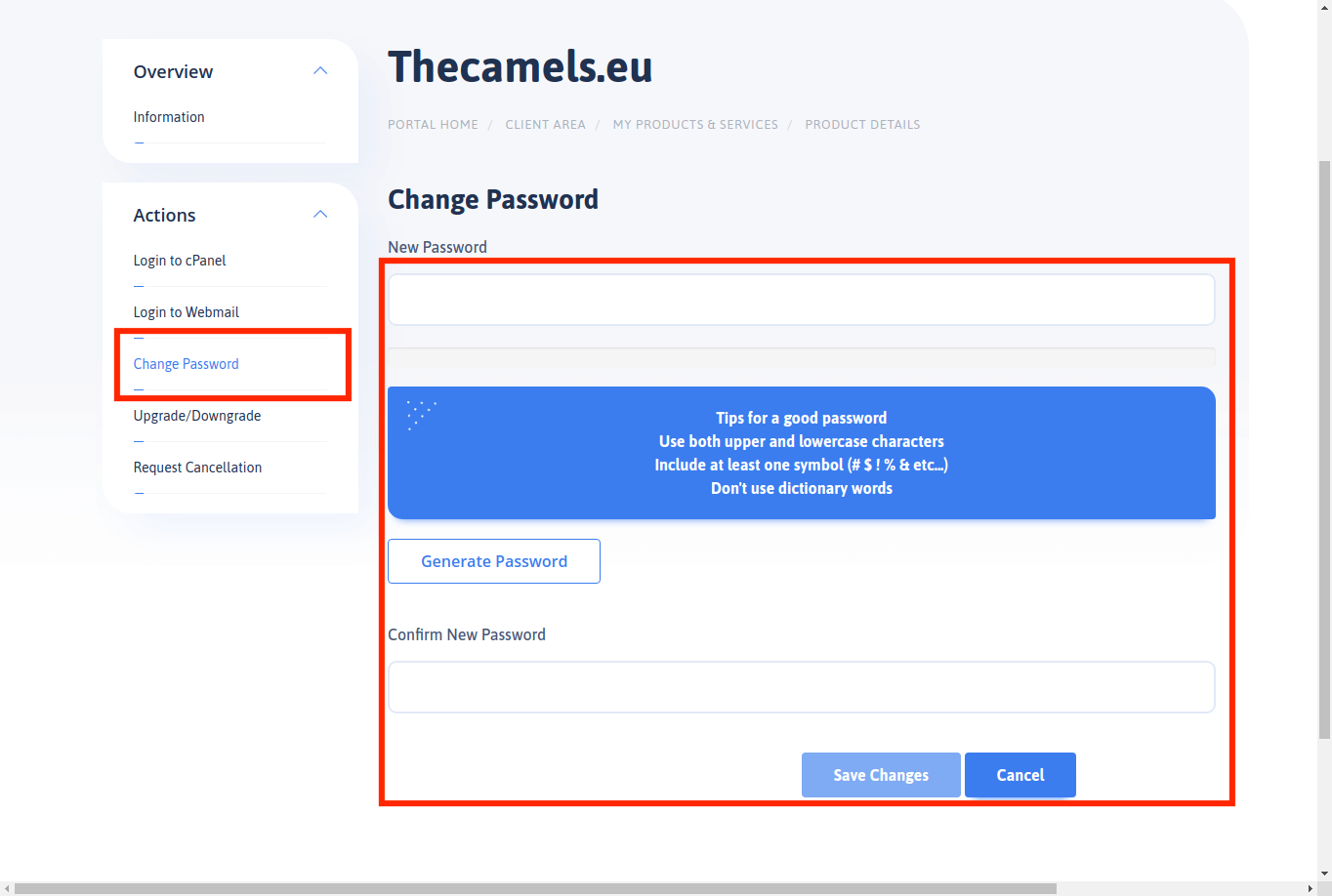 Hosting password change - client area - step 2